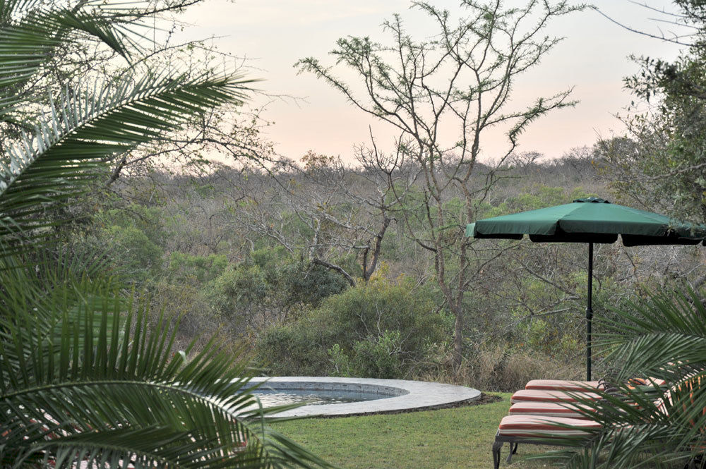 Waterbuck Game Lodge Thornybush vadrezervátum Kültér fotó